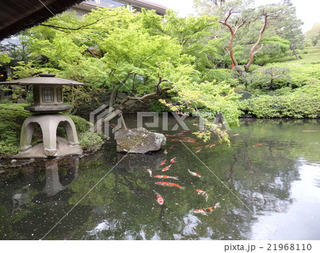 新緑の日本庭園 新緑の日本庭園 21968110