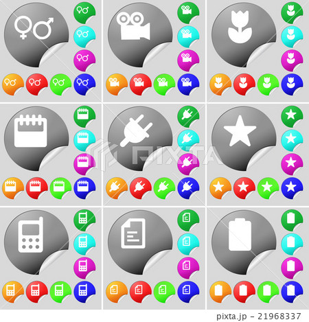 Gender symbols, Film camera, Flower, Calendar, Soc 21968337