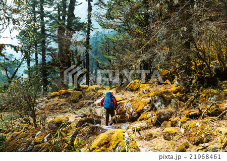 Hike in Nepal jungle 21968461