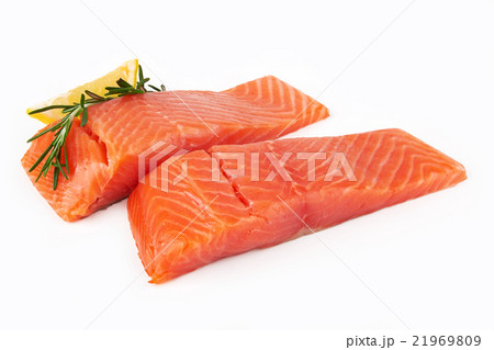 salmon salmon 21969809