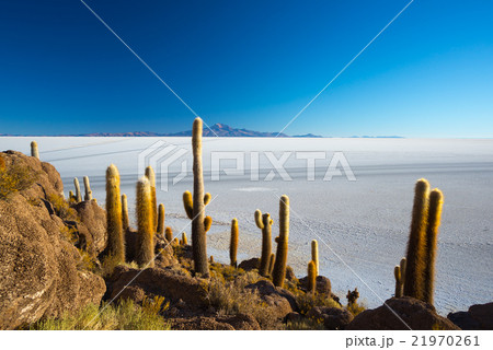 Uyuni Salt Flat on the Bolivian Andes at sunrise 21970261