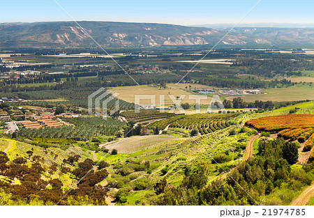 Israel Israel 21974785