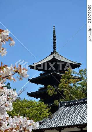 御室仁和寺（2016.4） 21974989