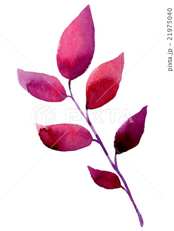 Watercolor leaf elements for design. 21975040