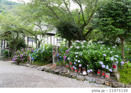 矢田寺(あじさい寺)のみそなめ地蔵 矢田寺(あじさい寺)のみそなめ地蔵 21975130