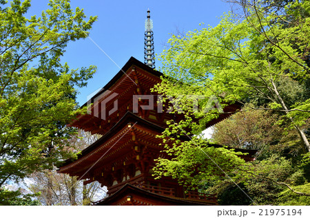 浄瑠璃寺　三重塔（2016.4） 21975194