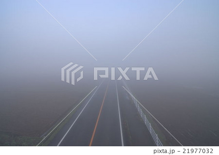 春先の濃霧で視界が悪い一般道路 21977032