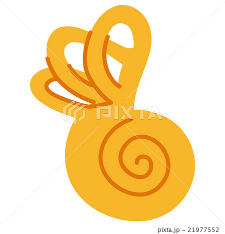 耳の構造 内耳のイラスト素材