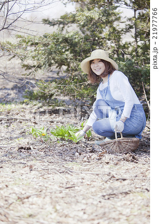 山菜採り 山菜採り 21977766