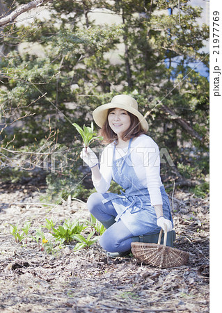 山菜採り 山菜採り 21977769