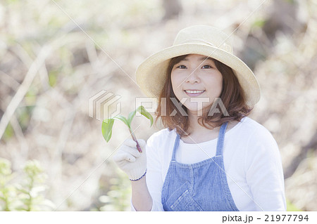 山菜採り 21977794