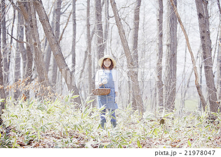 山菜採りをする女性 21978047