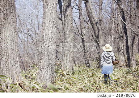 山菜採りをする女性 21978076