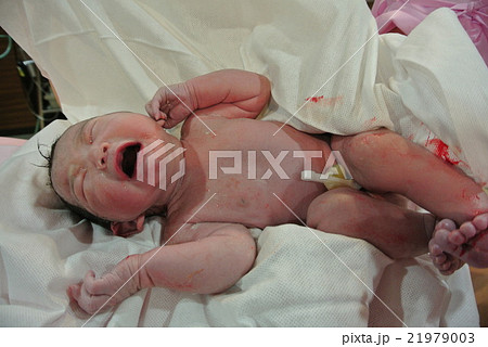 出産 分娩 女の子 誕生の写真素材 出産 分娩 女の子 誕生の写真素材