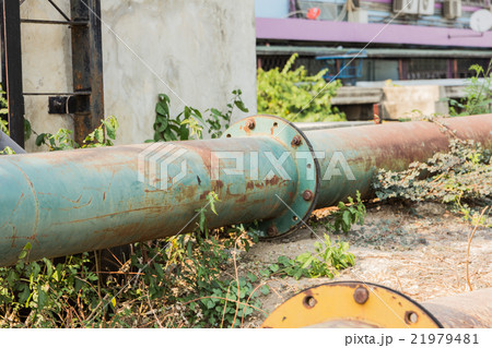 Stopcock on the pipe among grass beneath 21979481