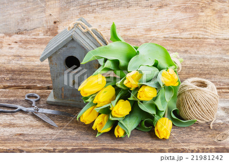 Yellow tulips with birdcage Yellow tulips with birdcage 21981242
