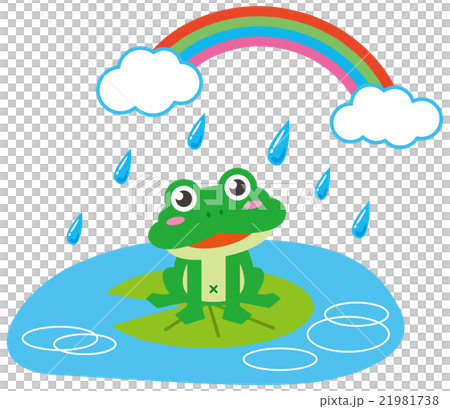 Rainy frog and rainbow 21981738