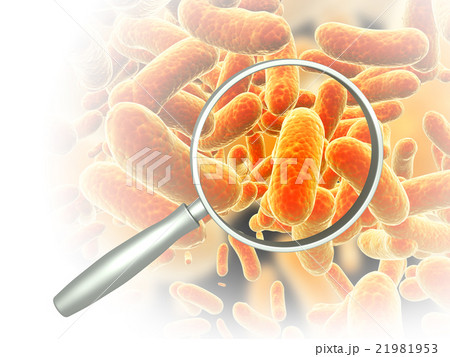 Magnifying glass and pathogen bacteria 21981953
