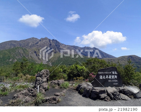 桜島、湯之平展望所 21982190
