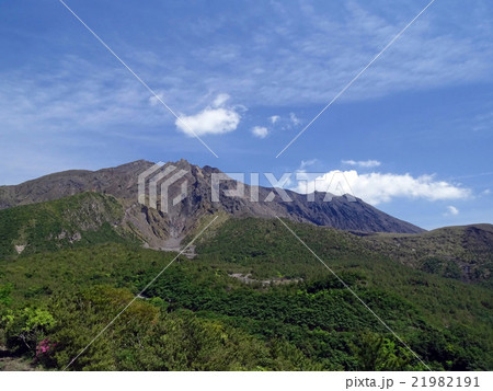 桜島、湯之平展望所 21982191