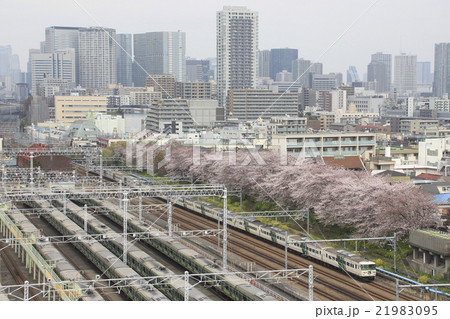 春の山手線車庫と特急踊り子 21983095
