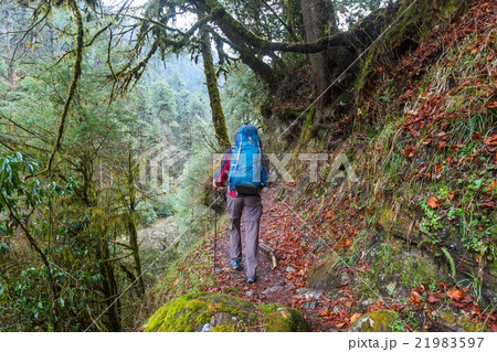 Hike in Nepal jungle 21983597