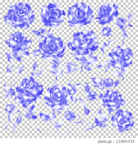 玫瑰圖材料 21985335