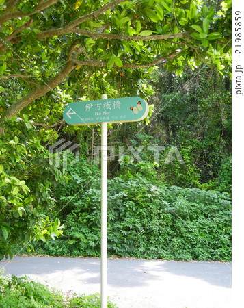 沖縄県　黒島 21985859