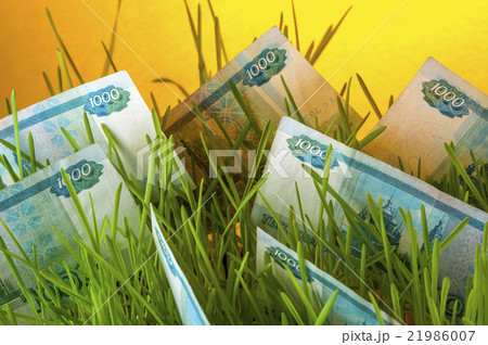 Russian ruble banknotes in green grass Russian ruble banknotes in green grass 21986007