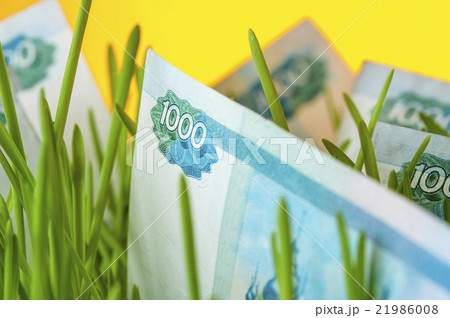 Closeup of russian ruble bill in green grass Closeup of russian ruble bill in green grass 21986008