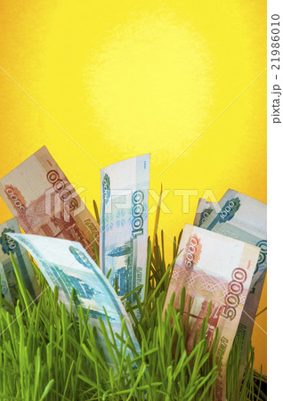 Ruble banknotes in green grass 21986010