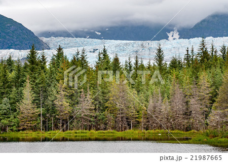 Mendenhall Glacier landscape panorama view Mendenhall Glacier landscape panorama view 21987665