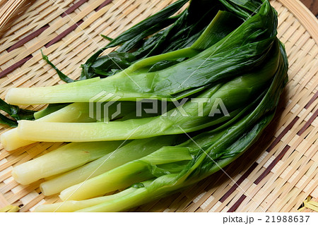 茹でたヤブカンゾウの葉 21988637