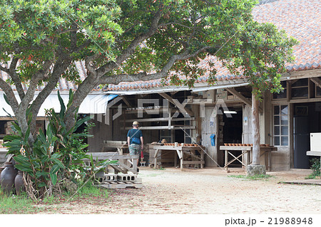 やちむんの里 21988948