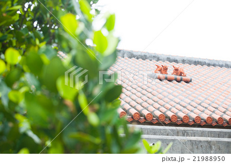 やちむんの里 21988950