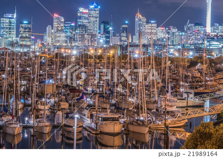 Auckland Night View2 21989164