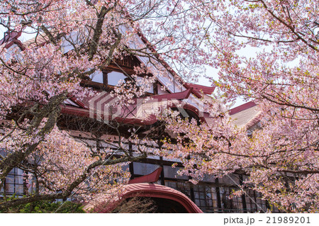 高遠城址公園 21989201