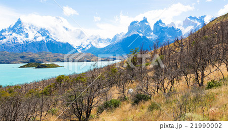 panorama of patagonia 21990002