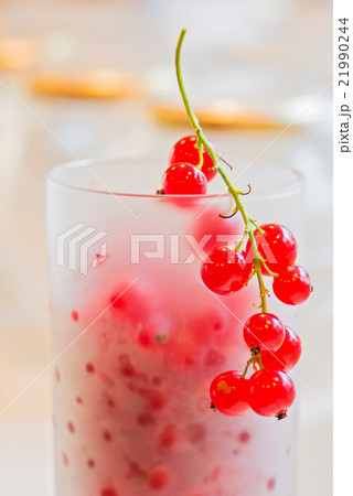 Fresh red currants in glass 21990244