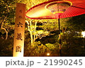 六義園 21990245