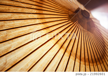 和傘 和傘 21992601