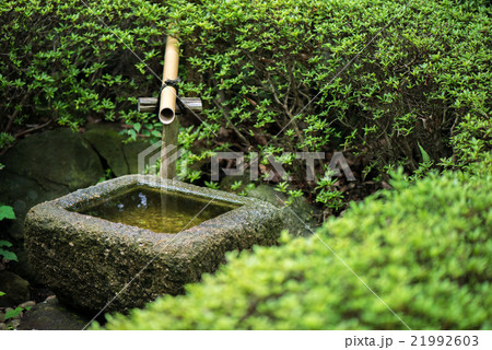 つくばいのある庭の写真素材