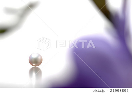 パールと花イメージ パールと花イメージ 21993895