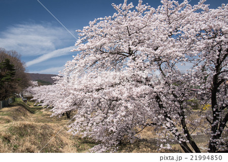 旧甲州街道白州町 旧甲州街道白州町 21994850