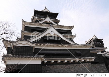 熊本城天守閣 21995724