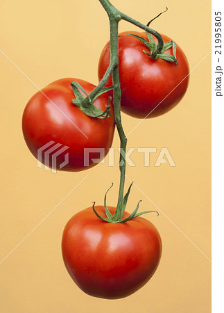 Fresh ripe red tomatoes on an orange background Fresh ripe red tomatoes on an orange background 21995805