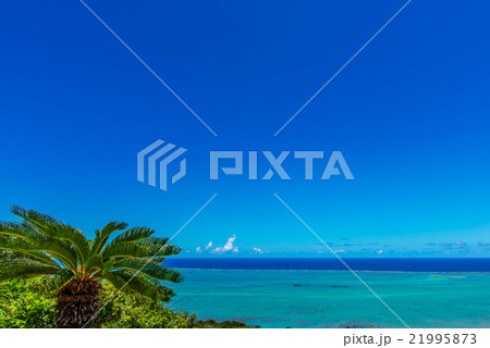 沖縄の海 沖縄の海 21995873