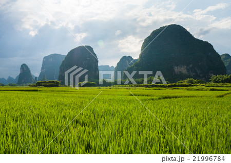 Karst mountains in yangshuo china Karst mountains in yangshuo china 21996784