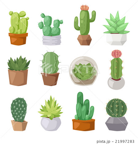 Cute cartoon cactus collection flat nature vector Cute cartoon cactus collection flat nature vector 21997283