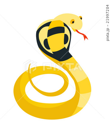 Cobra Snake coiled and ready to strike showing 21997284